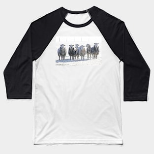 Herdwick Sheep Baseball T-Shirt